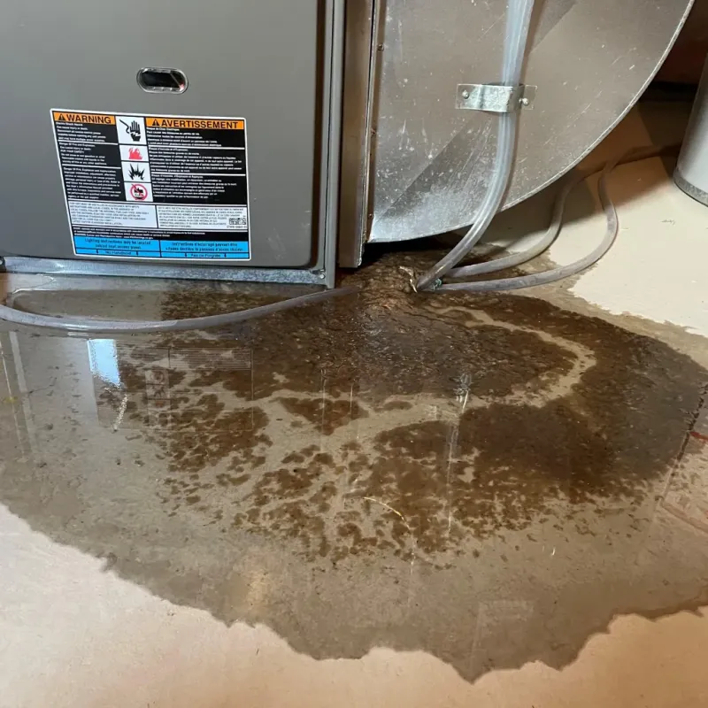 Appliance Leak Cleanup in Terrell County, GA